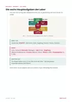 Vorschau - Stundenentwürfe - Die Leber – Biologie Arbeitsheft Klasse 7-9 PLUS Stundenentwurf - Seite 2