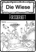 Vorschau - Unterrichtsreihen - Die Wiese - Das XXL PAKET (BUNDLE) - Seite 2