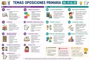 Vista previa - Tarjetas / Manipulativos - Temas 11 al 25 - Portada