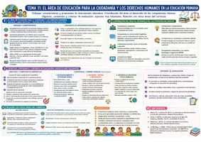 Vista previa - Tarjetas / Manipulativos - Temas 11 al 25 - página 1