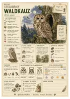 Vorschau - Arbeitsblätter - Waldkauz – kostenloses Materialpaket für Sachunterricht & Naturbildung Bella Wildherz - Deckblatt