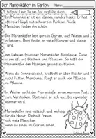 Vorschau - Arbeitsblätter - Der Marienkäfer im Garten Lesen und Verstehen | Lesetexte zum Leseverstehen & Textverständnis - Seite 3