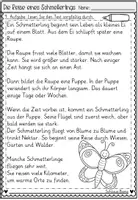Vorschau - Arbeitsblätter - Die Reise eines Schmetterlings - Seite 3
