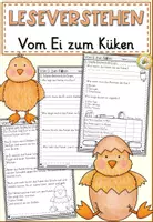 Vorschau - Arbeitsblätter - FREEBIE: Vom Ei zum Küken Lesen und Verstehen | Leseverstehen Klasse 2-4 - Deckblatt