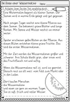Vorschau - Arbeitsblätter - FREEBIE: Die Reise einer Wassermelone Lesen und Verstehen | Leseverstehen Klasse 2-4 - Seite 3