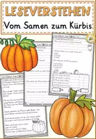 Vorschau - Arbeitsblätter - FREEBIE: Vom Samen zum Kürbis Leseverstehen Grundschule | Lesetexte Klasse 2–4 - Deckblatt
