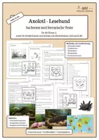 Vorschau - Fördermaterial/Inklusion - Axolotl-Leseband | Leseförderung, DaZ und LRS | Kl. 2 - Deckblatt