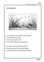 Vorschau - Fördermaterial/Inklusion - Axolotl-Leseband | Leseförderung, DaZ und LRS | Kl. 2 - Seite 2