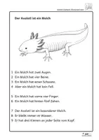 Vorschau - Fördermaterial/Inklusion - Axolotl-Leseband | Leseförderung, DaZ und LRS | Kl. 2 - Seite 3