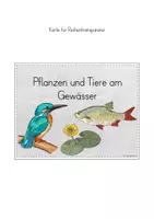 Vorschau - Stundenentwürfe - Tiere Pflanzen Gewässer Teich Stundenentwurf - Seite 2