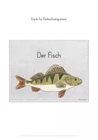 Vorschau - Stundenentwürfe - Gewässer Fische Materialpaket - Seite 3