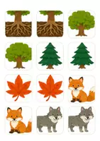 Vorschau - Spiele - Wald: Erinnerungsspiel, DAZ, Vokabeln, Vorkurs und Deutschklassen - Seite 1