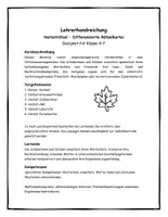 Vorschau - Stundenentwürfe - Materialpaket DEUTSCH FÜR ZWISCHENDURCH - Vertretungsstunden - Seite 2