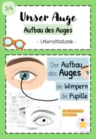 Vorschau - Arbeitsblätter - Wachsendes Materialpaket: Unser Auge (Kl. 3/4) - Seite 1