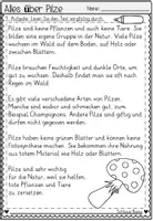 Vorschau - Arbeitsblätter - FREEBIE: Leseverstehen "Alles über Pilze" (2/4 Klasse - Deutsch) - Seite 3