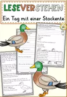Vorschau - Arbeitsblätter - Ein Tag mit einer Stockente - Deckblatt