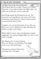 Vorschau - Arbeitsblätter - Ein Tag mit einer Stockente - Seite 3