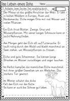 Vorschau - Arbeitsblätter - FREEBIE: Das Leben eines Elchs Leseverstehen "" (2/4 Klasse - Deutsch) - Seite 3