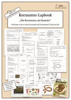 Vorschau - Arbeitsblätter - Hakennasennatter-Lapbook | 3 Niveaustufen | GS, DaZ, Förder - Deckblatt