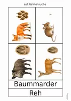 Vorschau - Arbeitsblätter - wachsendes Materialpaket: Sachkunde/ Sachunterricht - Seite 2