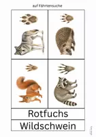 Vorschau - Arbeitsblätter - wachsendes Materialpaket: Sachkunde/ Sachunterricht - Seite 3