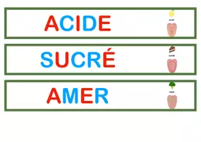 Aperçu - Apprentissages en autonomie - Atelier autonome : le gôut : salé / sucré / acide / amer (images à classifier, inspiration montessori) - Page de couverture