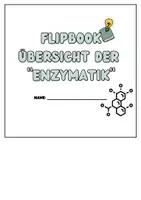 Vorschau - Arbeitsblätter - Flipbook Enzymatik - Viele Inhalte auf einen Blick - Seite 1