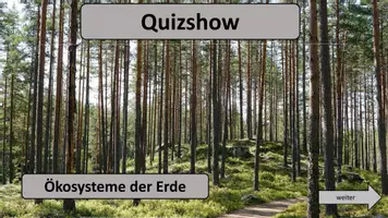 Vorschau - Spiele - Materialpaket: Digitale Quizshows (verschiedene Fächer) - Seite 1