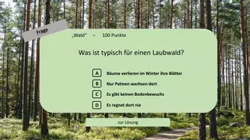 Vorschau - Spiele - Materialpaket: Digitale Quizshows (verschiedene Fächer) - Seite 3