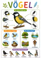Vorschau - Poster - Lernposter „Tierwelt“ – Tiere spielerisch kennenlernen - Seite 2