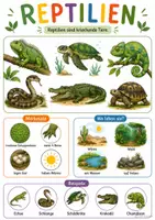 Vorschau - Poster - Lernposter „Tierwelt“ – Tiere spielerisch kennenlernen - Seite 3