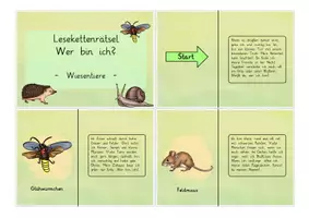 Vorschau - Spiele - Wiesentiere: Lesekettenrätsel "Wer bin ich?" (Klassenspiel) - Sachunterricht - Kl. 2/3 - Seite 1