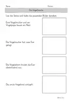 Vorschau - Arbeitsblätter - Bildergeschichten „Die Vogelfamilie“ – Angeleitetes Schreiben im Frühling (Deutsch Klasse 1, 2, 3, 4) - Seite 3