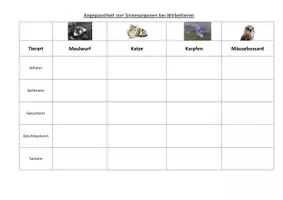 Vorschau - Arbeitsblätter - Sinnesorgane - Wirbeltiere Anpassungen bei Tieren - Deckblatt