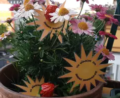 Vorschau - Mal- und Bastelvorlagen - Sommerferien Sonne - Geschenk zum Zeugnis - - Seite 3