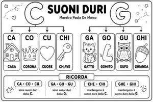 anteprima - Materiale di supporto/inclusione - PILLOLE ORTOGRAFIA E GRAMMATICA - Pagina 1