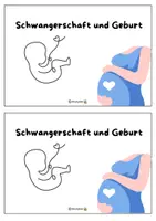 Vorschau - Arbeitsblätter - Schwangerschaft und Geburt - Arbeitsheft oder Stationenbetrieb - Seite 2