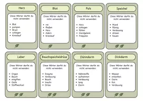Vorschau - Spiele - Wortjäger Humanbiologie: Begriffe erklären, ohne die wichtigsten Wörter zu nennen Kartenspiel zu Verdauung, Atmung, Herz-Kreislauf-System, Blut, Fortpflanzung und Stoffwechsel - Seite 2