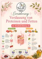 Vorschau - Arbeitsblätter - Ernährung: Verdauung von Proteinen und Fetten mit Lösung - Deckblatt