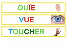 Aperçu - Apprentissages en autonomie - Atelier autonome : 5 sens (images à classifier, inspiration montessori) - Page de couverture