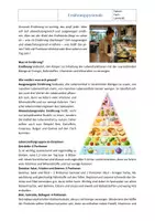 Vorschau - Arbeitsblätter - Ernährung: Ernährungspyramide (mit Lösung) - Seite 1