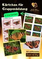 Vorschau - Bildkarten - Kärtchen für Gruppenbildung (Schmetterlinge) - Deckblatt