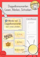 Vorschau - Spiele - Lesen-Merken-Schreiben Doppelkonsonanten Karten differenziert Materialpaket - Seite 1
