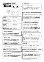 Vorschau - Text - Biber - Lesetext - Seite 2