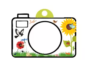 Vorschau - Spiele - Deine Naturkamera - Entdecke Pflanzen und Tiere im Garten - Seite 3