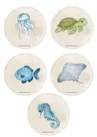 Vorschau - Unterrichtsreihen - SENSORY-ACTIVITY: Abenteuer am Meer/ im Sand - Seite 3