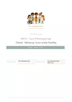 Vorschau - Anderer Materialtyp - Mobiler Sonderpädagogischer Dienst - Trauma & Belastungsstörungen - Deckblatt