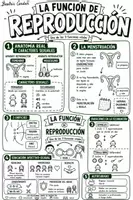Vista previa - Hojas de trabajo - Pack Mapas Visuales – Ciencias Naturales 6.º de Primaria (Castellano + Valenciano) - página 1