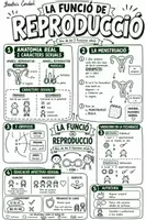 Vista previa - Hojas de trabajo - Pack Mapas Visuales – Ciencias Naturales 6.º de Primaria (Castellano + Valenciano) - página 2