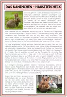 Vorschau - Arbeitsblätter - DAS KANINCHEN - Haustiercheck - Seite 1